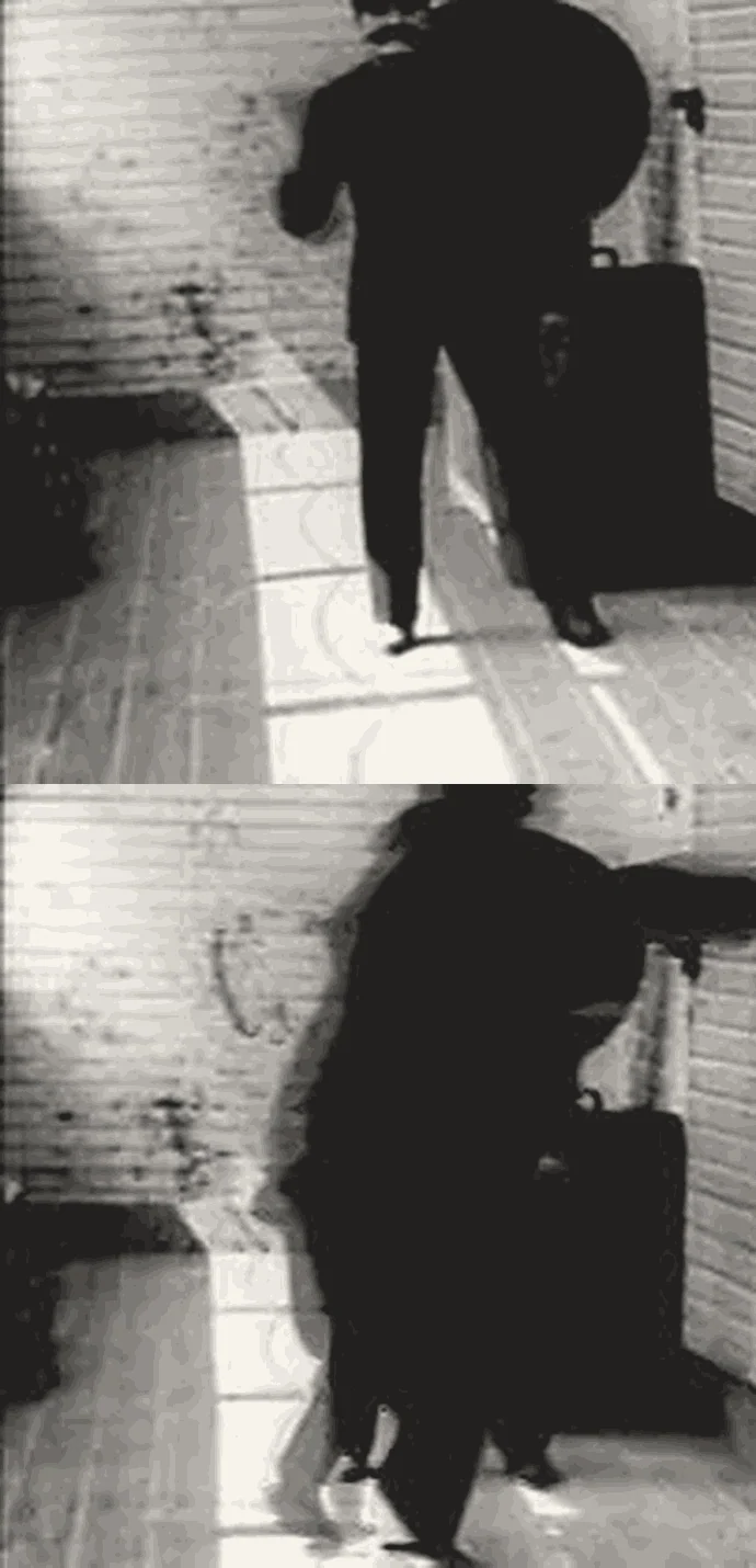 65번 컷 — 