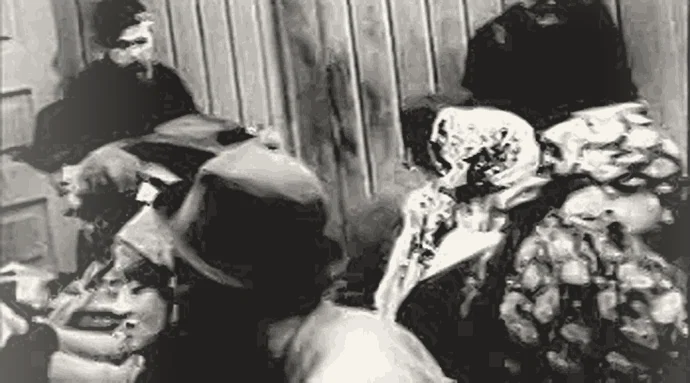 77번 컷 — 